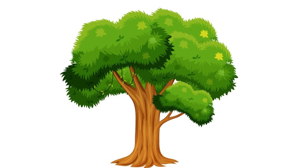 clipart:cjf0bfgwlpk= tree